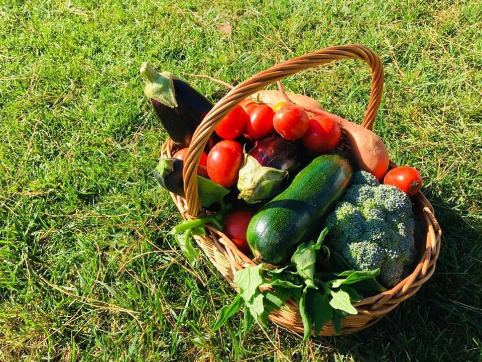 Furnaka Eco Village Луриня Екстериор снимка